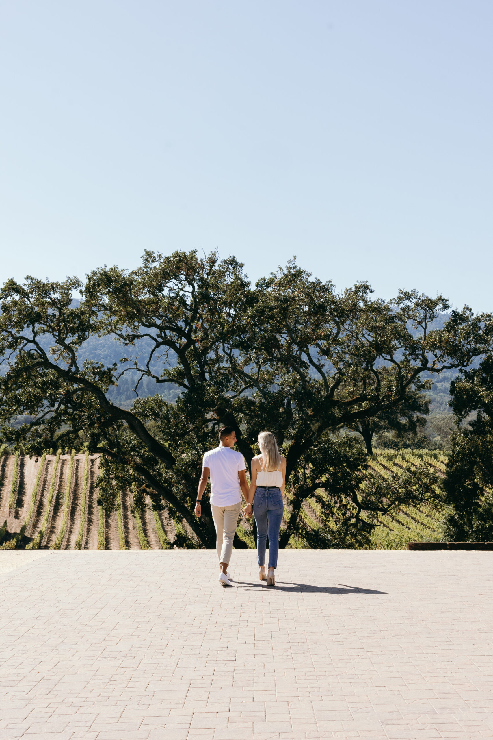 Newly engaged couple walks down path above the vineyards in Glen Ellen CA