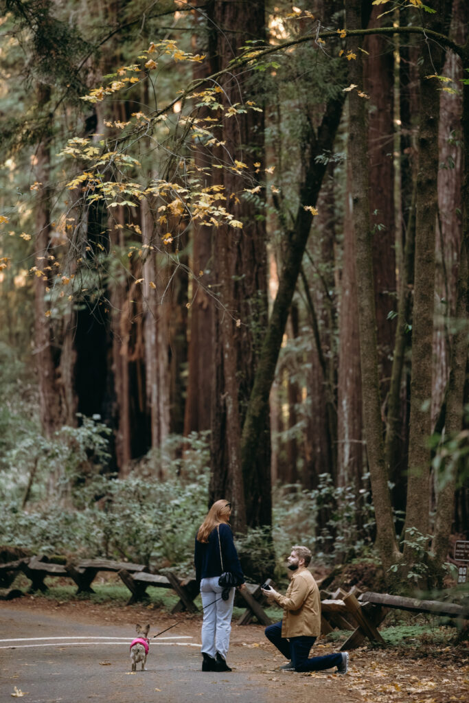 Proposal Photographer Sonoma County